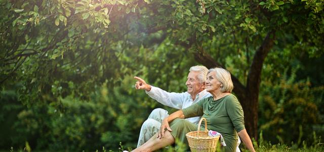 Retirement Income Planning | Summit Investment Advisors MN