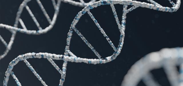 A white and blue DNA double helix structure against a dark background by Warren Umoh courtesy of Unsplash.